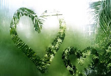 LOL：阿乐直播诉苦收入低 退役选手生活天差地别！