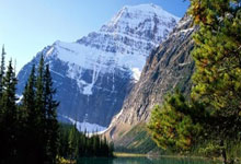 Bin自愧不如！LOL选手擅自离队，怒怼主教练：以为你是Faker？