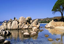 时空之弦(xián)阵容搭配(pèi)大(dà)全(quán) 後(hòu)期T0阵营組(zǔ)合推荐